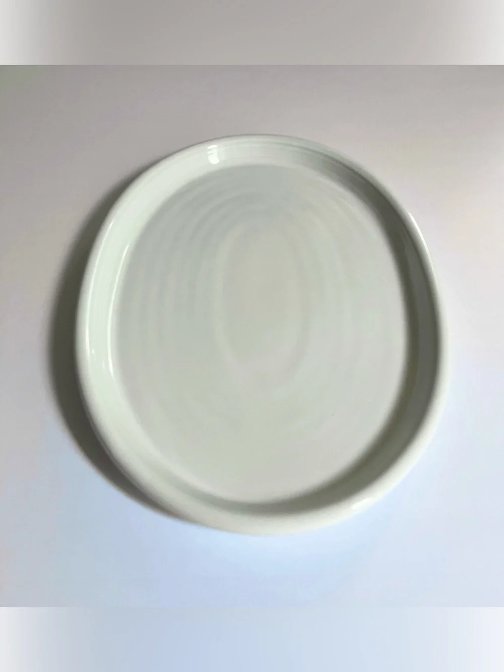 Crate & Barrel Off-White Modern Oval Stoneware Platter